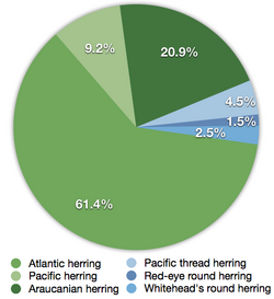 Global capture of all herring.png