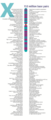 Human chromosome X from Gene Gateway - with label.png