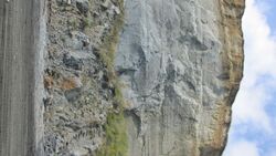 Kai Iwi Cliff 1.jpg