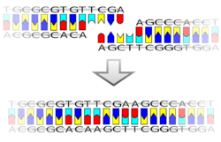 Ligation.svg