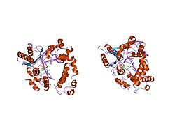 PDB 2bpg EBI.jpg