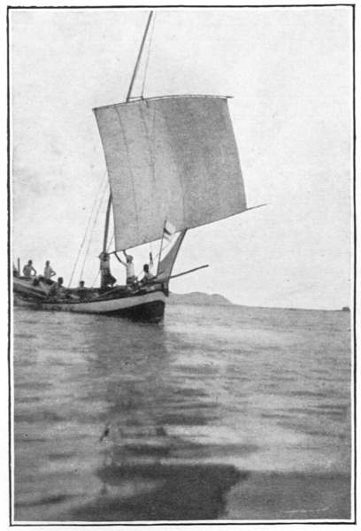 File:Roller-reefing the sail of a payang.png
