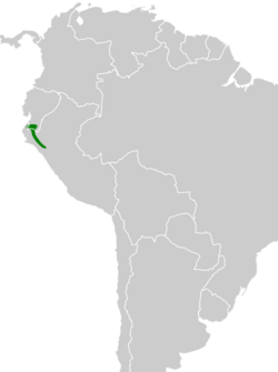 Saltator nigriceps map.svg