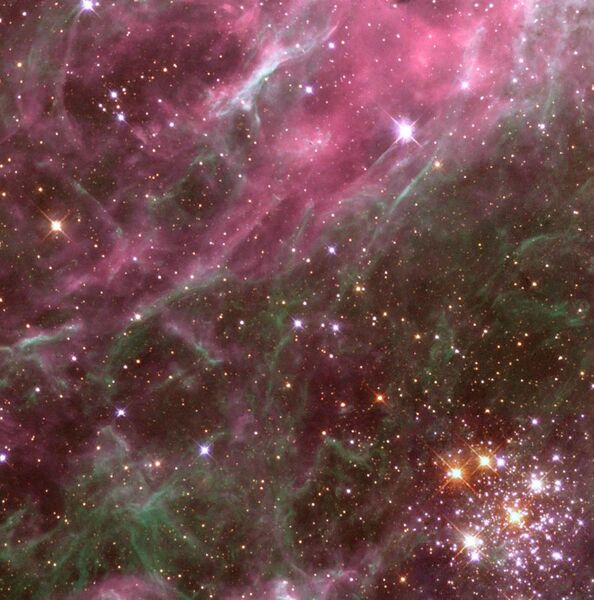 File:Tarantula nebula detail.jpg