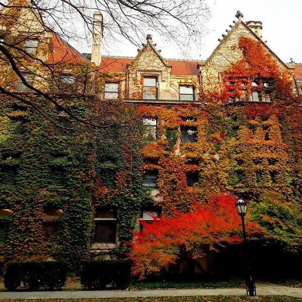 File:University of Chicago at Fall.jpg