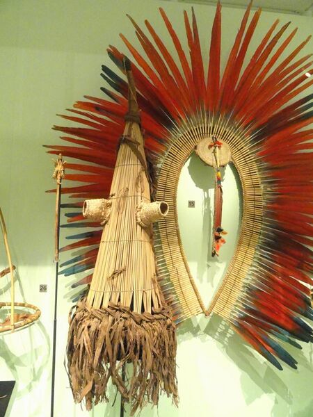 File:Anteater mask and scratcher used by boys in the Koko ceremony, Kayapo culture, Brazil, c. 1970 - Royal Ontario Museum - DSC09551.JPG