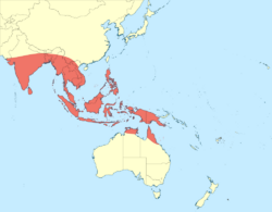 Archibasis probable distribution map.svg