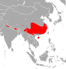In China, India, Nepal, and Vietnam