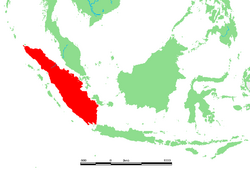 ID - Sumatra.PNG