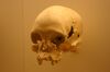 Lapa Vermelha IV Hominid 1-Homo Sapiens 11,500 Years Old.jpg