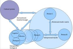 Personality systematics.jpg