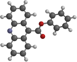 Phenyl 9-acridinecarboxylate 3D.png