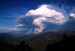 Pyrocumulus cloud in the Angeles National Forest California.JPG