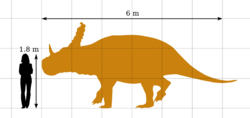 Sinoceratops Size Comparison by PaleoGeek.svg