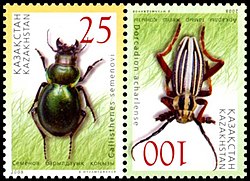 Image depicting two stamps the left for 25 tiyn and the right for 100 tiyn, one the left depicts a green rounded beetle with large mouth parts, the right depicts a long black and white stripped beetle with long antennae with red legs. The background is white with grass on the edges. The bottom left and top right say the year 2008.