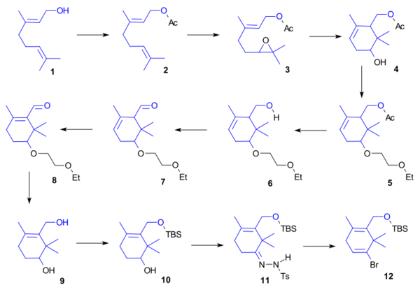 Taxol total synthesis Takahasi part1