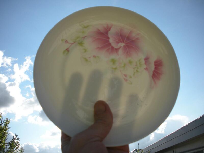 File:Transparent porcelain.jpg