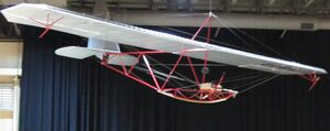 WACO primary glider.jpg