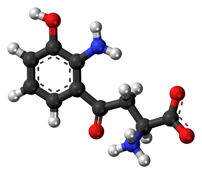 File:3-Hydroxy-L-kynurenine-zwitterion-3D-balls.png