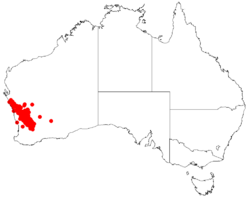 Acacia acuariaDistMap12.png