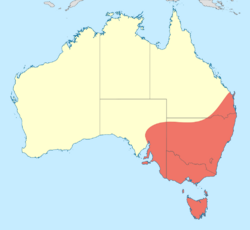 Austrolestes psyche distribution map.svg