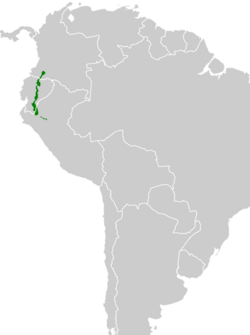 Campylopterus villaviscensio map.svg