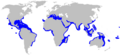 Blacktip shark geographic range