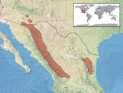 Crotalus pricei distribution.png