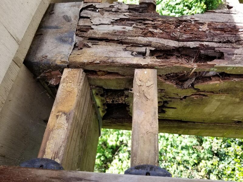 File:Deck beam dry rot.jpg