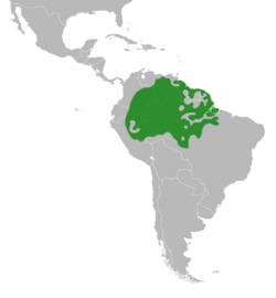 Limadendron distribution.svg