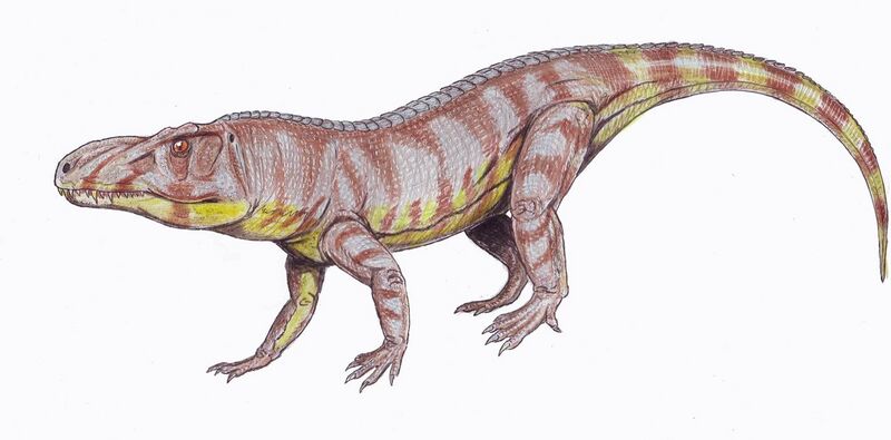 File:Luperosuchus1DB.jpg