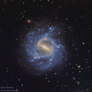 NGC1073 by Goran Nilsson & The Liverpool Telescope.jpg