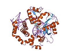 PDB 1mq3 EBI.jpg