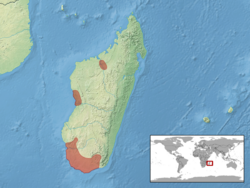 Phelsuma mutabilis distribution.png