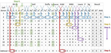 Serology interpretation of antibody panel for blood group antigens.jpg