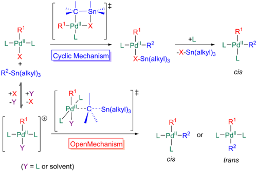 The two mechanisms, cyclic and open, of transmetallation in the Stille reaction