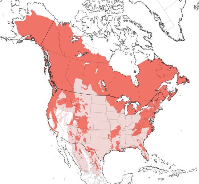 File:Ursus americanus IUCN range map extant and extirpated.png