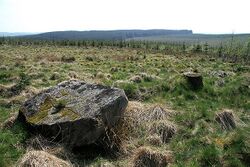 Whitcastles Stone Circle - geograph.org.uk - 2165337.jpg