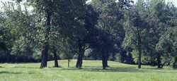 Cahokia Mound 72.jpg