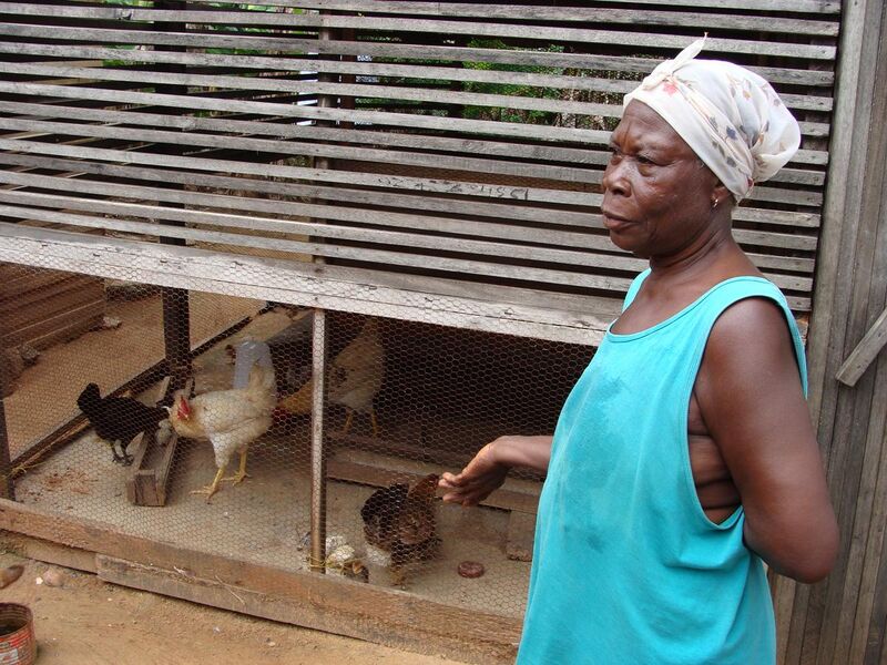 File:Chicken farmer in Ghana (5926941911).jpg