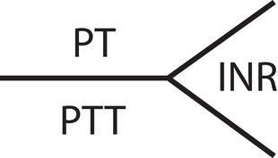 Coagulation diagram.png