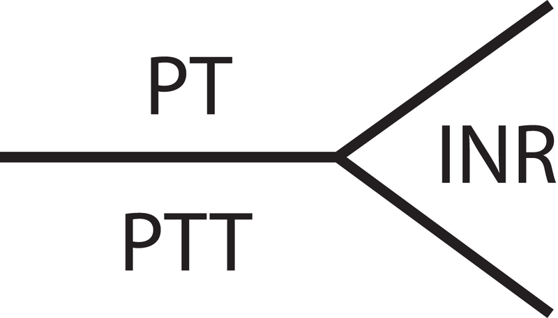 File:Coagulation diagram.png