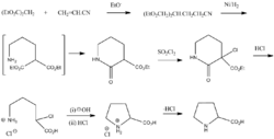 DL-Proline synth.png