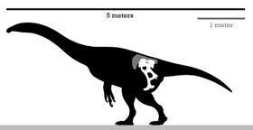 Enigmosaurus Skeleton Reconstruction.jpg