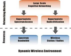 Large Scale Cognitive Wireless Networking Concept.jpg