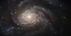 NGC 3810 (captured by the Hubble Space Telescope).jpg