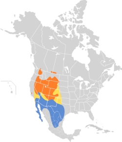 Oreoscoptes montanus map.svg