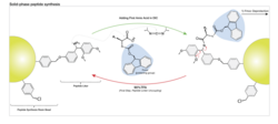 Peptide Synthesis.svg