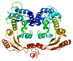 Protein BST1 PDB 1isf.png