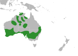 Templetonia Distribution Map.svg